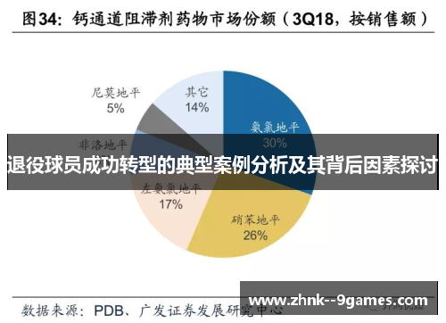退役球员成功转型的典型案例分析及其背后因素探讨